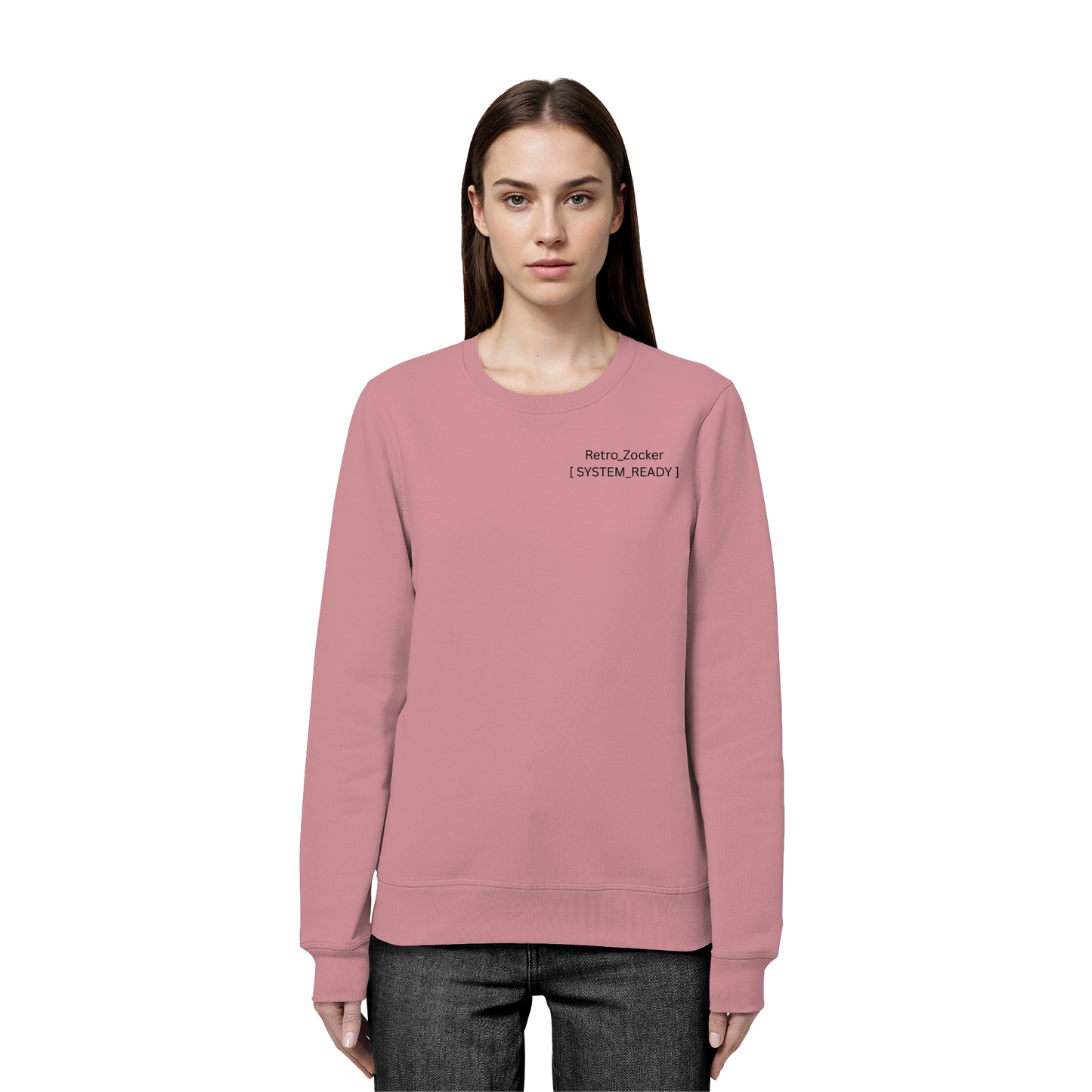 „Retro_Zocker“ [ System_Ready ] Premium Bio-Sweatshirt - Organic Basic Unisex Sweatshirt