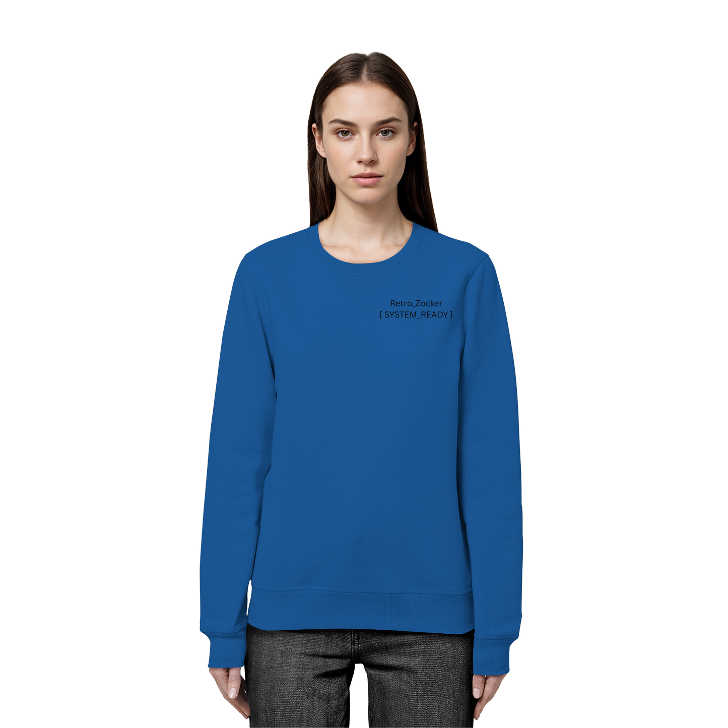 „Retro_Zocker“ [ System_Ready ] Premium Bio-Sweatshirt - Organic Basic Unisex Sweatshirt