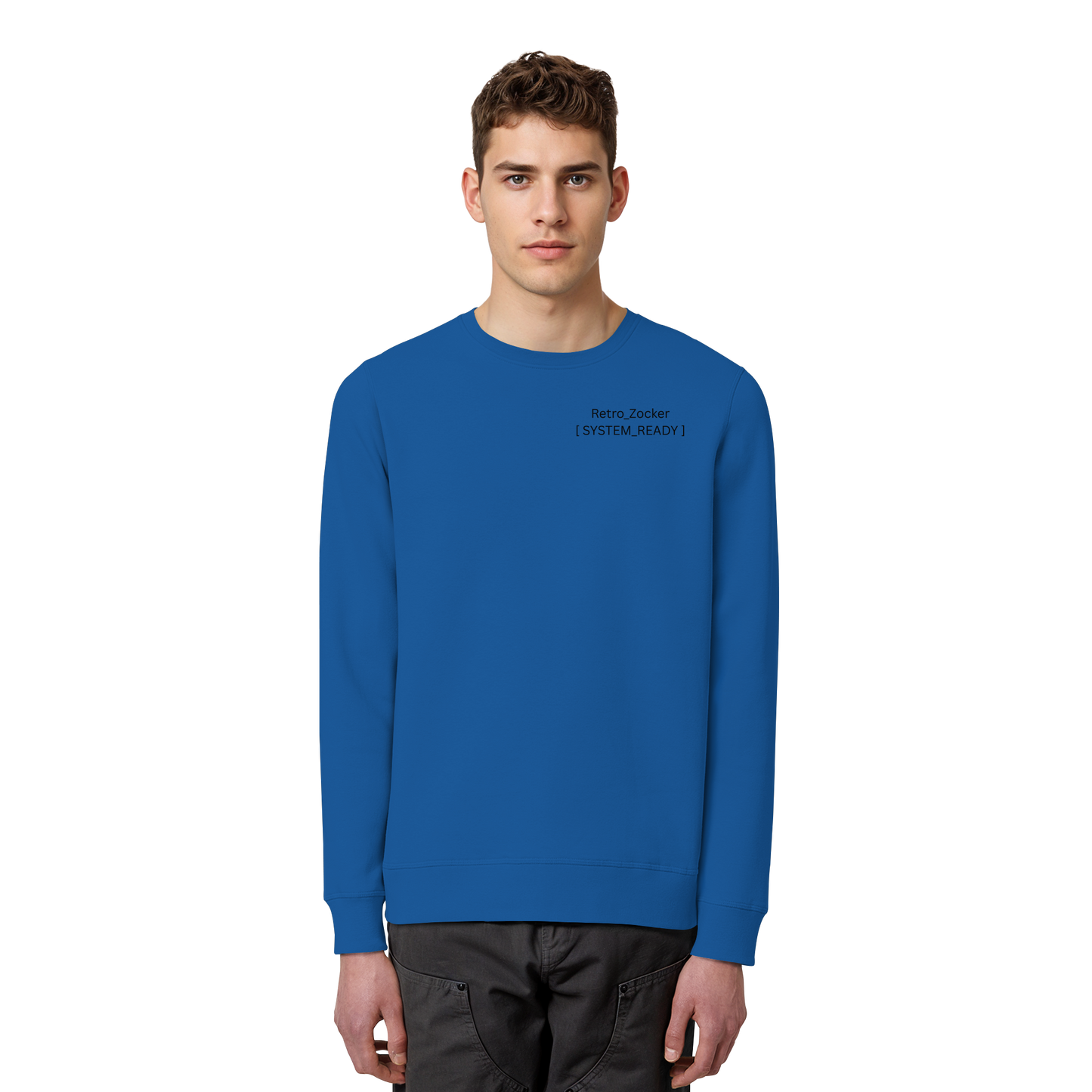 „Retro_Zocker“ [ System_Ready ] Premium Bio-Sweatshirt - Organic Basic Unisex Sweatshirt