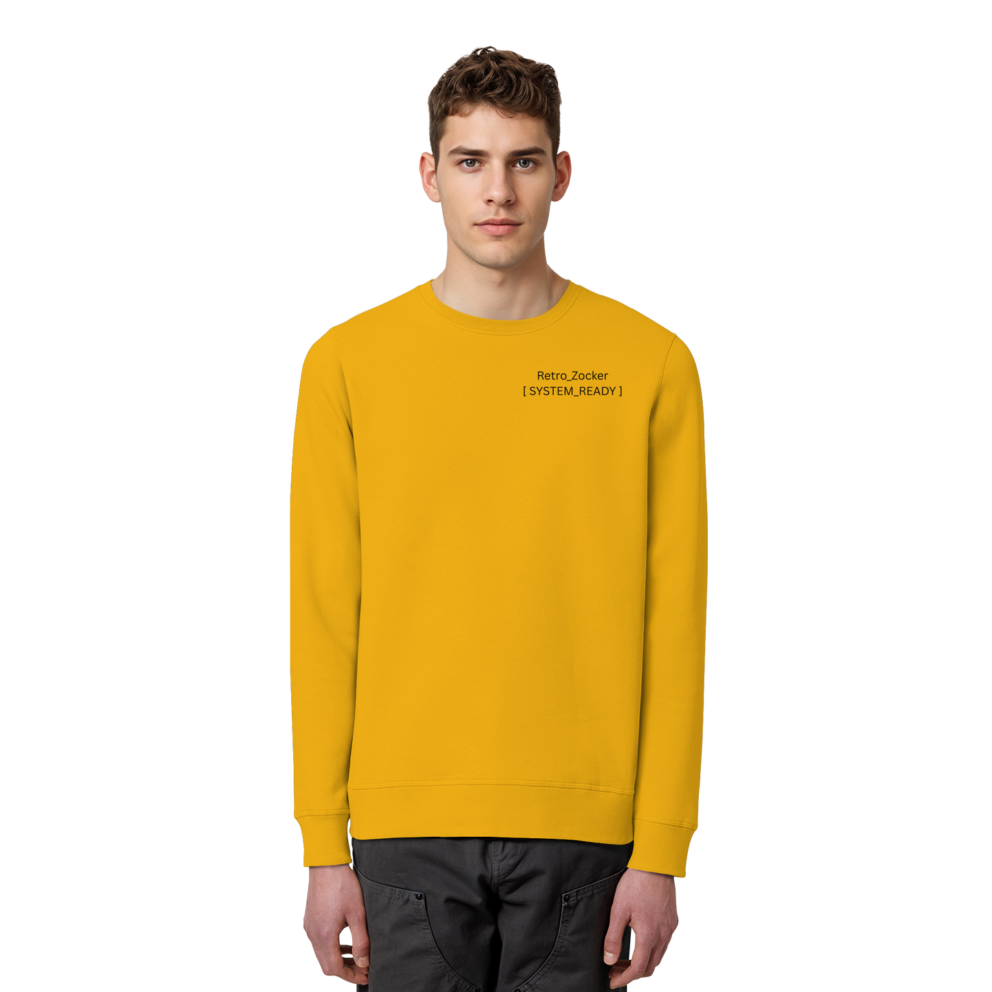 „Retro_Zocker“ [ System_Ready ] Premium Bio-Sweatshirt - Organic Basic Unisex Sweatshirt